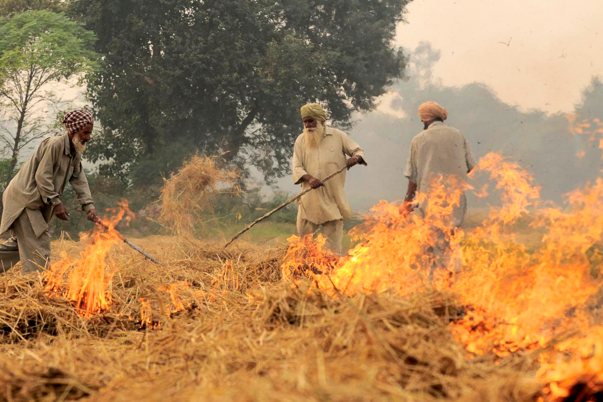 Brûlis agricole au Pendjab, Inde (début novembre 2011).