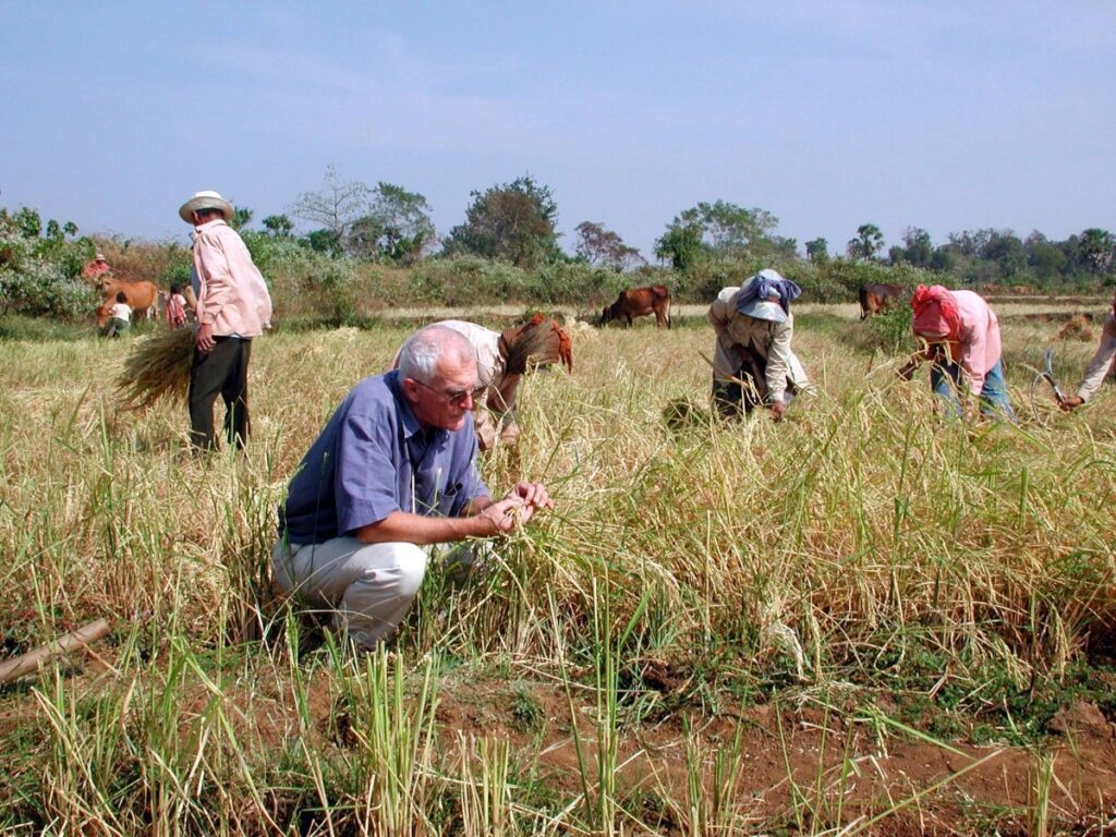 Le père Ponchaud dans les rizières du Cambodge