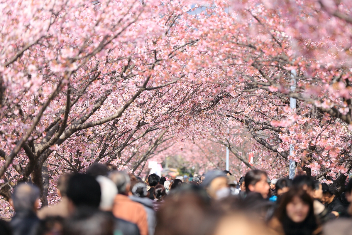 Le journaliste Cristian Grimaldi, basé à Tokyo, appelle l’Église au Japon à montrer une vision positive de la vie de famille dans un pays à la culture du travail toujours rigide.