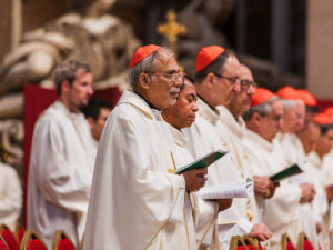 Le cardinal Filipe Neri Ferrao, archevêque de Goa et Daman, le 21 octobre 2024 lors du Synode, dans la basilique Saint-Pierre à Rome.