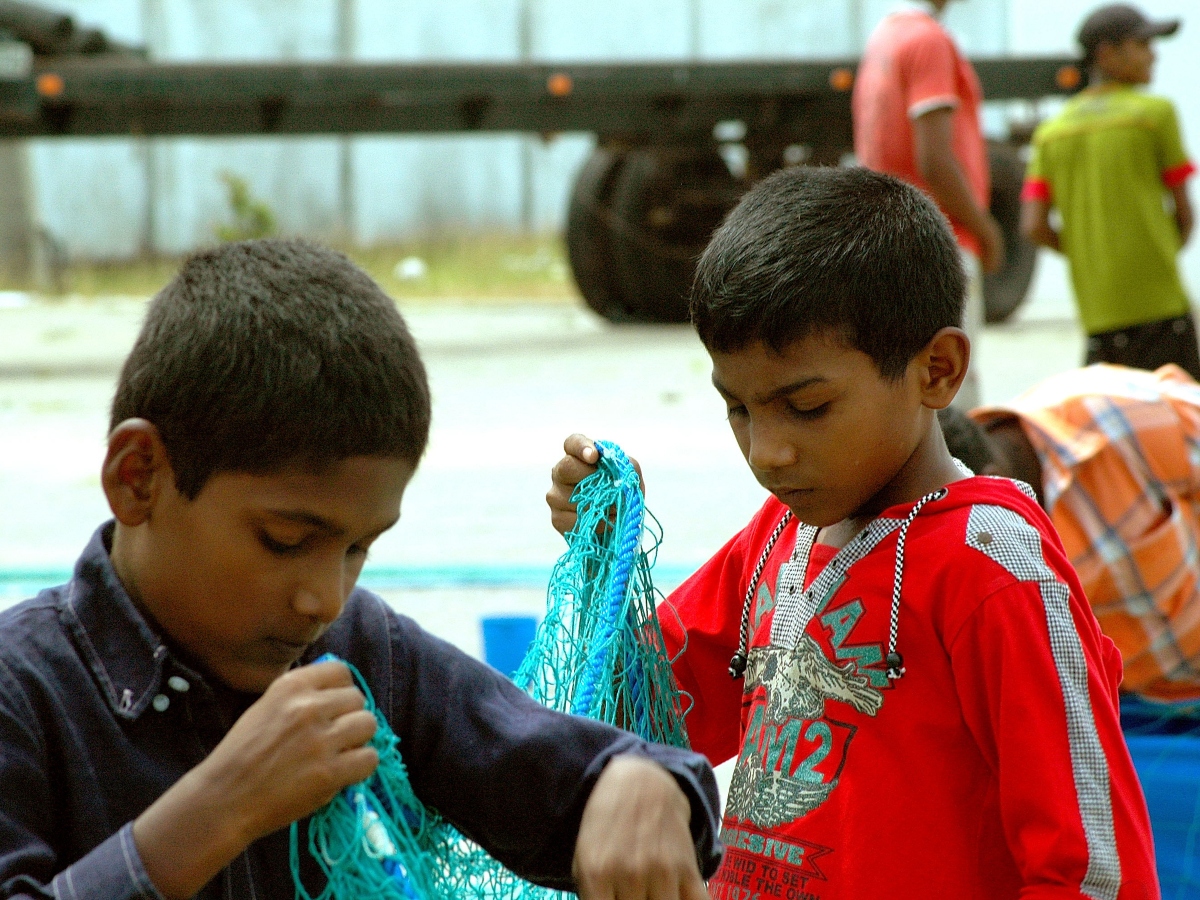 Des enfants dans une plantation au Sri Lanka.