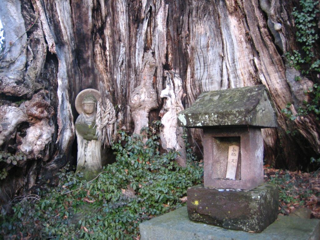 Une Vierge sous une apparence bouddhiste (des statuettes appelées « Maria Kannon » par les Kakure Kirishitan ou « chrétiens cachés »), dans un arbre au Japon.
