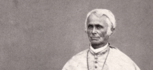 Jean-Claude Miche (1805-1873) - Un évêque missionnaire face au défi colonial indochinois