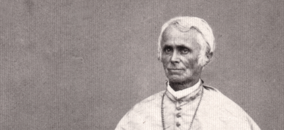 Jean-Claude Miche (1805-1873) - Un évêque missionnaire face au défi colonial indochinois